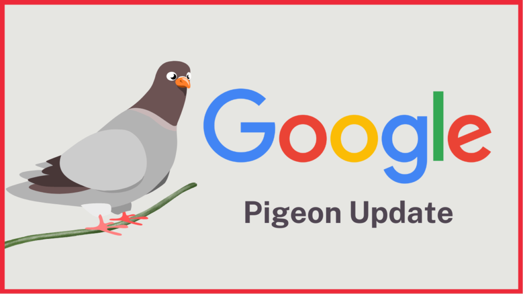 pigeon update