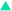 Polygon 25